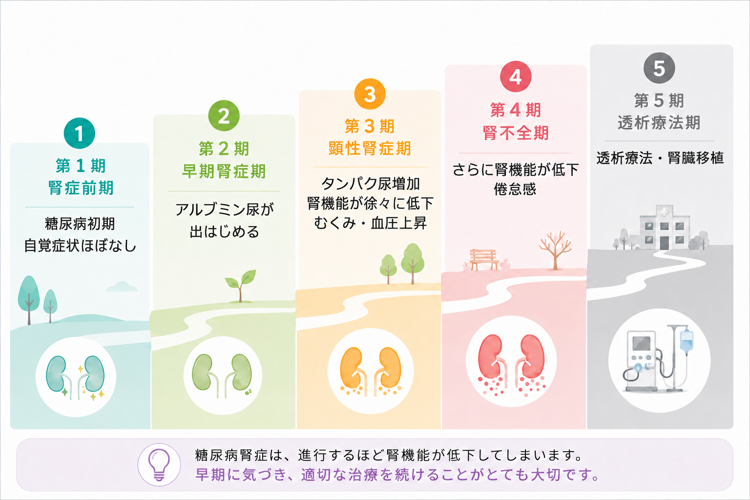 糖尿病性腎症の病期(第1期:腎症前期〜第5期:透析療法期)の経過